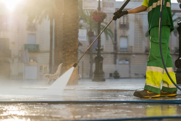 Best Dumpster Area Cleaning  in Fruitland, MD